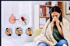 Typhoid